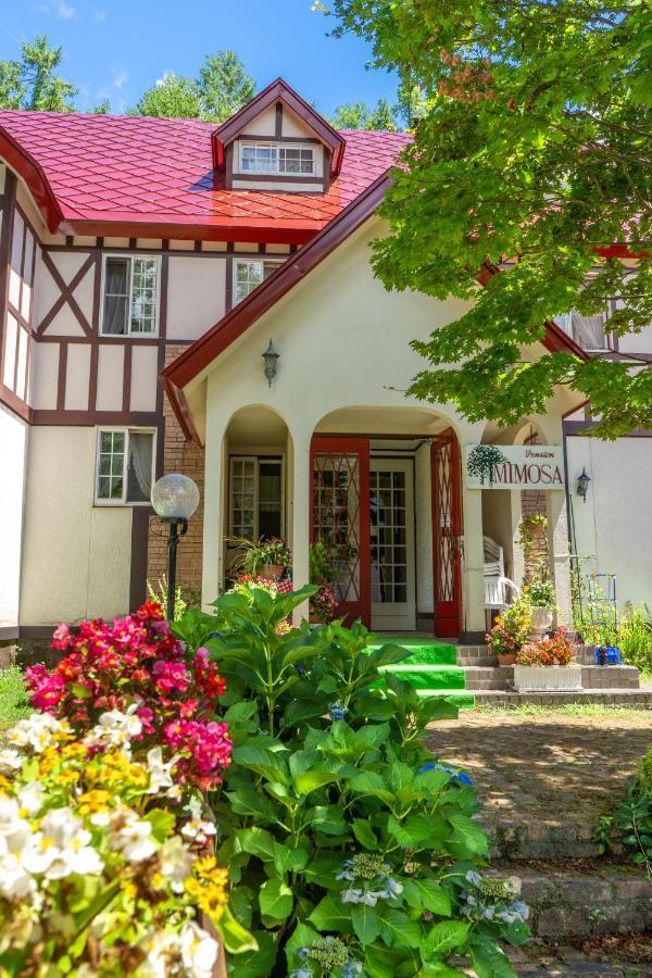 Hotel ピュアモール ミモザ Hakuba Esterno foto